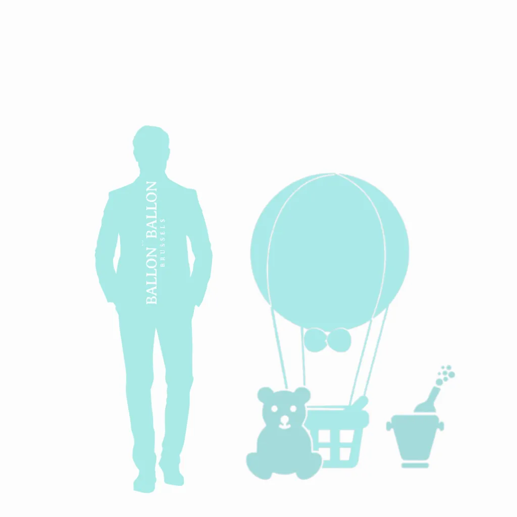 taille montgolfière.webp